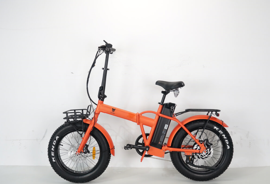 MODELE LITTLE FITCH 4