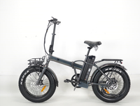 MODELE LITTLE FITCH 2